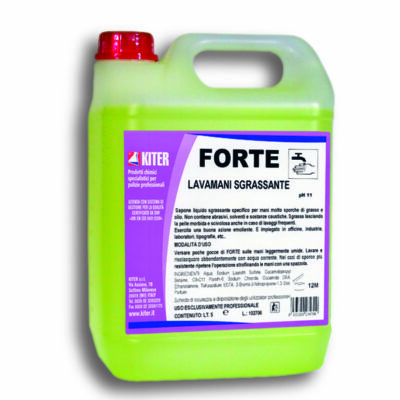 FORTE - LAVAMANI SGRASSANTE